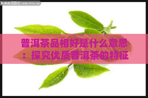 普洱茶品相好是什么意思：探究优质普洱茶的特征与价值