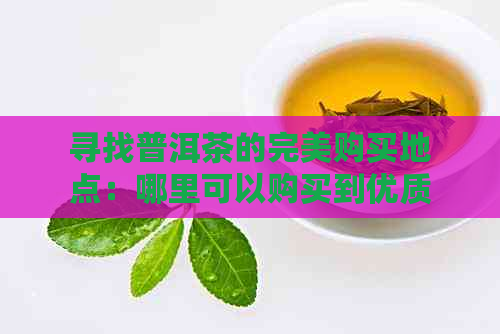 寻找普洱茶的完美购买地点：哪里可以购买到优质的普洱茶并了解购买指南？