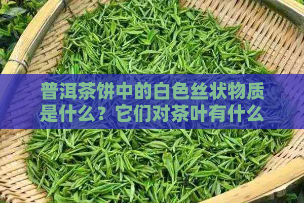 普洱茶饼中的白色丝状物质是什么？它们对茶叶有什么影响？