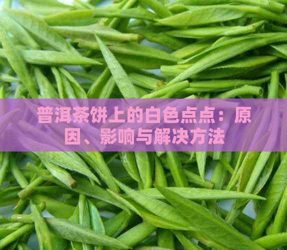 普洱茶饼上的白色点点：原因、影响与解决方法