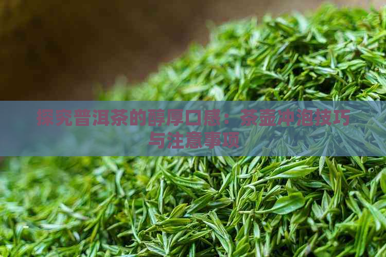 探究普洱茶的醇厚口感：茶壶冲泡技巧与注意事项