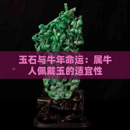 玉石与牛年命运：属牛人佩戴玉的适宜性