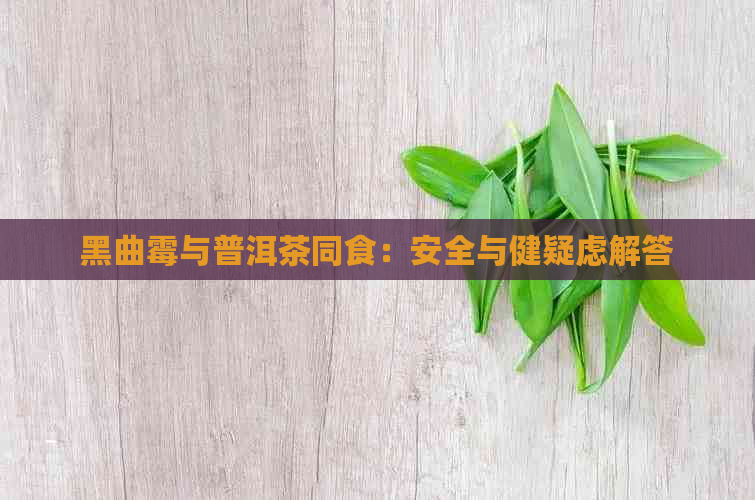 黑曲霉与普洱茶同食：安全与健疑虑解答