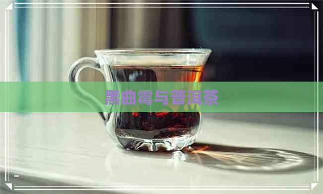 黑曲霉与普洱茶