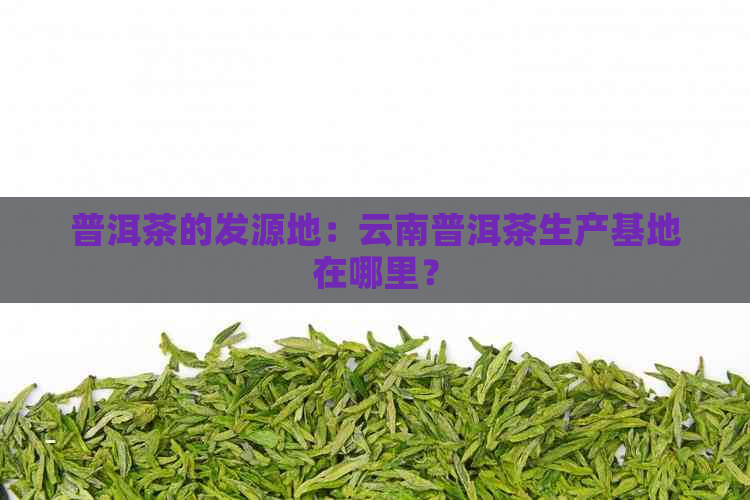 普洱茶的发源地：云南普洱茶生产基地在哪里？