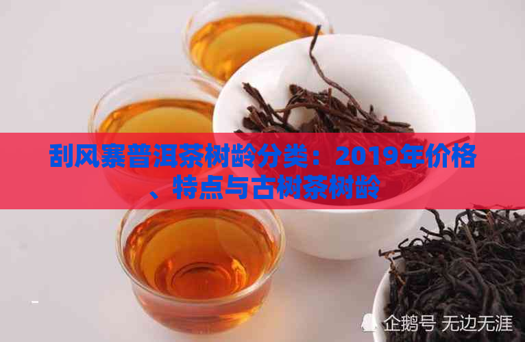 刮风寨普洱茶树龄分类：2019年价格、特点与古树茶树龄