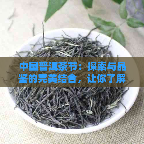 中国普洱茶节：探索与品鉴的完美结合，让你了解茶叶背后的故事和文化