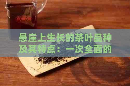 悬崖上生长的茶叶品种及其特点：一次全面的解读