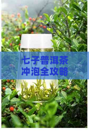 七子普洱茶冲泡全攻略：从选茶到冲泡，一步到位解答您的所有疑问！