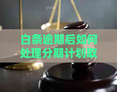 白条逾期后如何处理分期计划取消问题，以及应对方法和注意事项