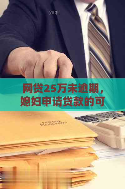 网贷25万未逾期，媳妇申请贷款的可行性分析及相关问题解答