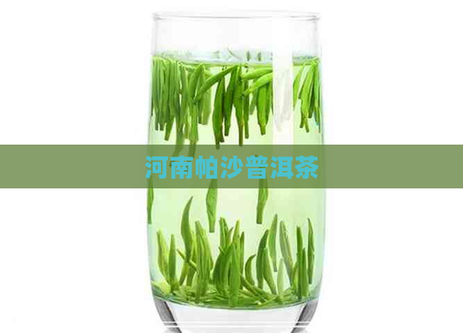 河南帕沙普洱茶