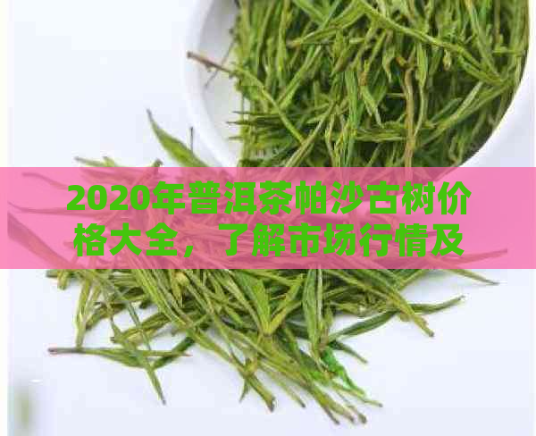 2020年普洱茶帕沙古树价格大全，了解市场行情及购买指南