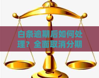 白条逾期后如何处理？全面取消分期与全额还款解决方案一文解析