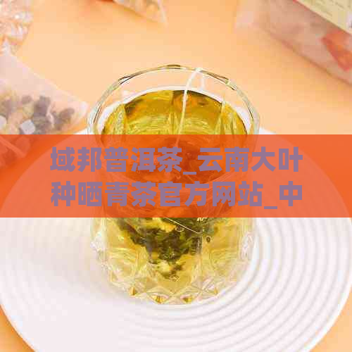 域邦普洱茶_云南大叶种晒青茶官方网站_中国优质茶叶