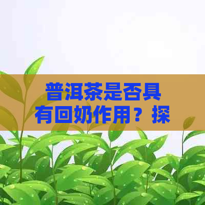 普洱茶是否具有回奶作用？探讨普洱茶对哺乳期妇女的影响及相关注意事项