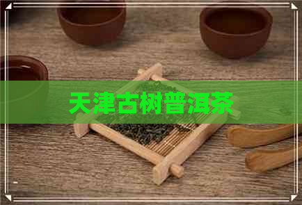 天津古树普洱茶