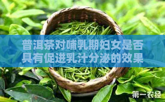 普洱茶对哺乳期妇女是否具有促进乳汁分泌的效果？