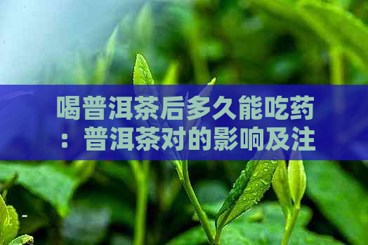 喝普洱茶后多久能吃药：普洱茶对的影响及注意事项