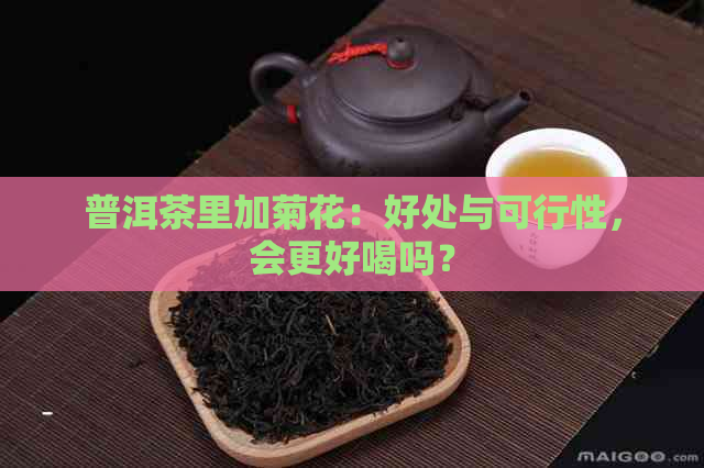 普洱茶里加菊花：好处与可行性，会更好喝吗？