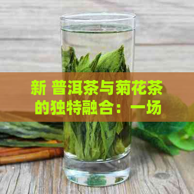 新 普洱茶与菊花茶的独特融合：一场味觉与视觉的宴