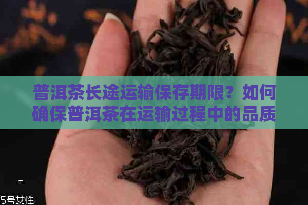 普洱茶长途运输保存期限？如何确保普洱茶在运输过程中的品质稳定？