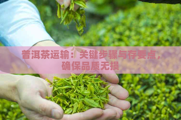 普洱茶运输：关键步骤与存要点，确保品质无损