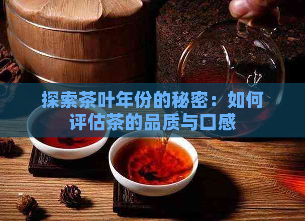 探索茶叶年份的秘密：如何评估茶的品质与口感