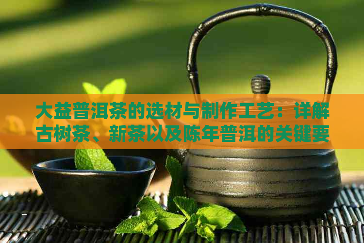 大益普洱茶的选材与制作工艺：详解古树茶、新茶以及陈年普洱的关键要素