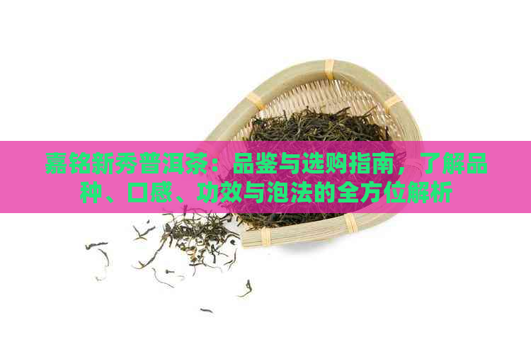 嘉铭新秀普洱茶：品鉴与选购指南，了解品种、口感、功效与泡法的全方位解析