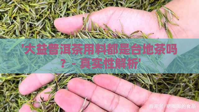 '大益普洱茶用料都是台地茶吗？- 真实性解析'