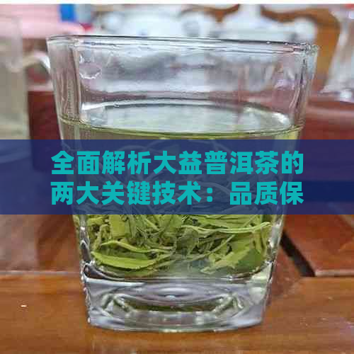 全面解析大益普洱茶的两大关键技术：品质保证与独特风味的秘诀