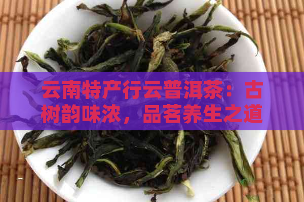 云南特产行云普洱茶：古树韵味浓，品茗养生之道