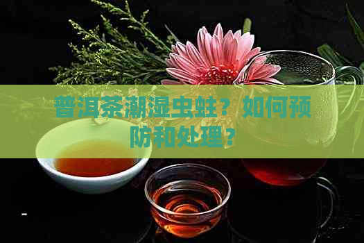 普洱茶潮湿虫蛀？如何预防和处理？