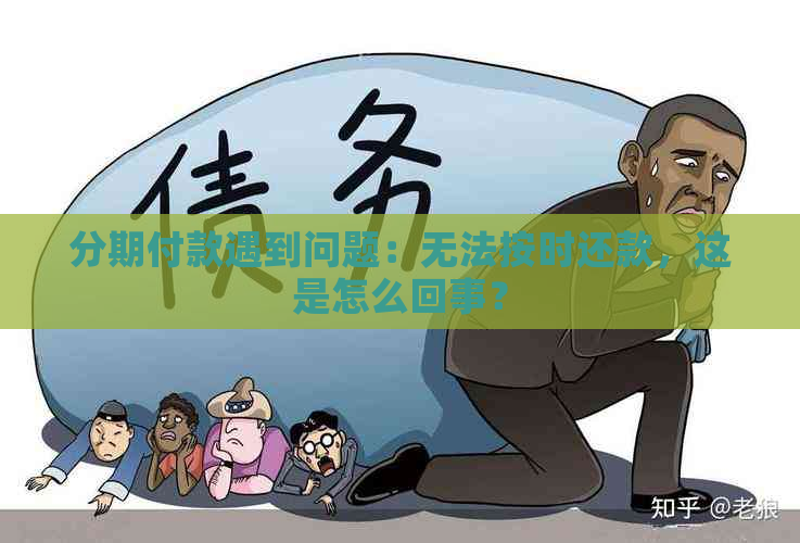 分期付款遇到问题：无法按时还款，这是怎么回事？