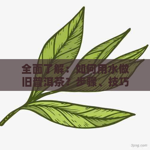 全面了解：如何用水做旧普洱茶？步骤、技巧和效果解析