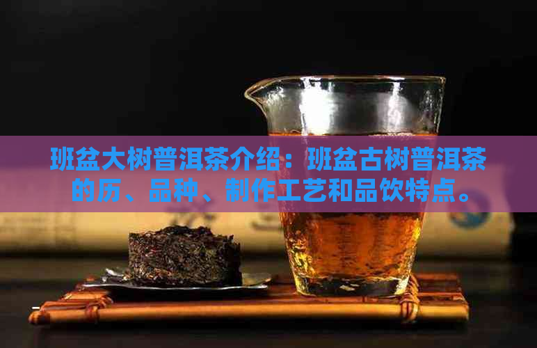 班盆大树普洱茶介绍：班盆古树普洱茶的历、品种、制作工艺和品饮特点。