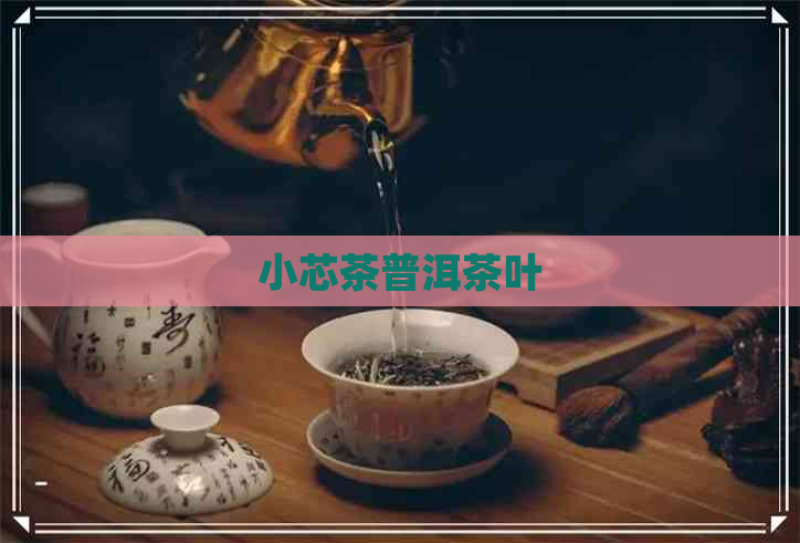 小芯茶普洱茶叶