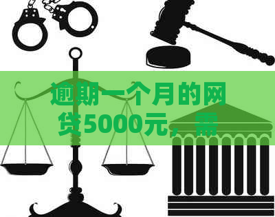 逾期一个月的网贷5000元，需要支付多少罚息和滞纳金？正常情况如何计算？