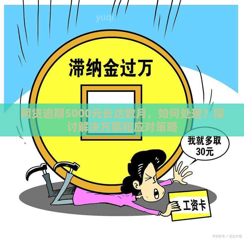 网贷逾期5000元长达数月，如何处理？探讨解决方案和应对策略