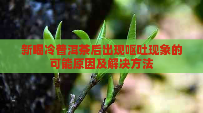 新喝冷普洱茶后出现呕吐现象的可能原因及解决方法