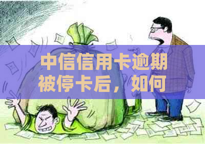 中信信用卡逾期被停卡后，如何进行恢复和使用？