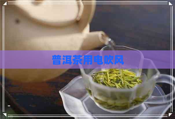 普洱茶用电吹风