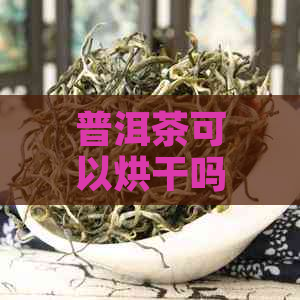 普洱茶可以烘干吗？怎么烘？为什么能烘干？烘干时间是多少？还是晒干更好？