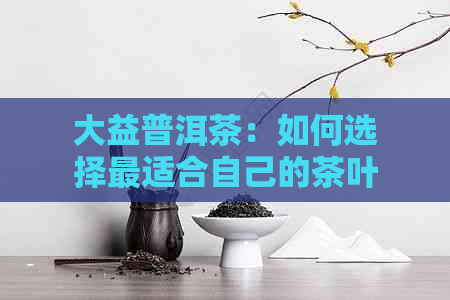 大益普洱茶：如何选择最适合自己的茶叶品种与品质？