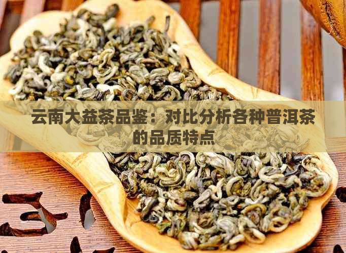 云南大益茶品鉴：对比分析各种普洱茶的品质特点