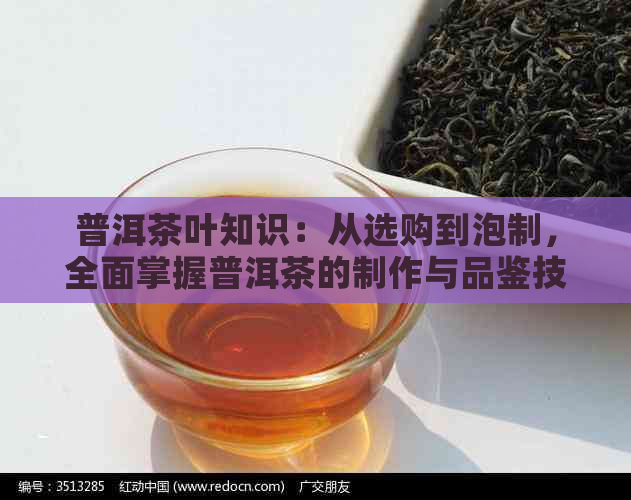 普洱茶叶知识：从选购到泡制，全面掌握普洱茶的制作与品鉴技巧