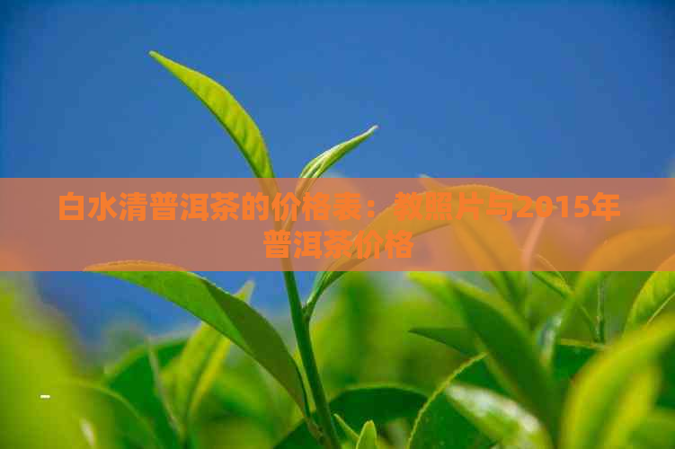 白水清普洱茶的价格表：教照片与2015年普洱茶价格