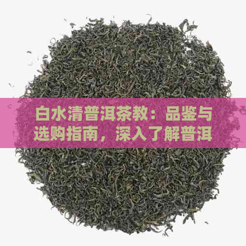 白水清普洱茶教：品鉴与选购指南，深入了解普洱茶的魅力与品质