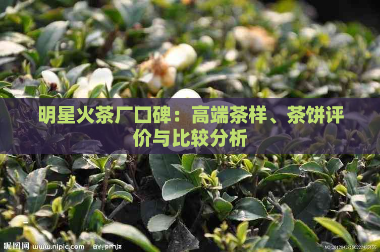 明星火茶厂口碑：高端茶样、茶饼评价与比较分析